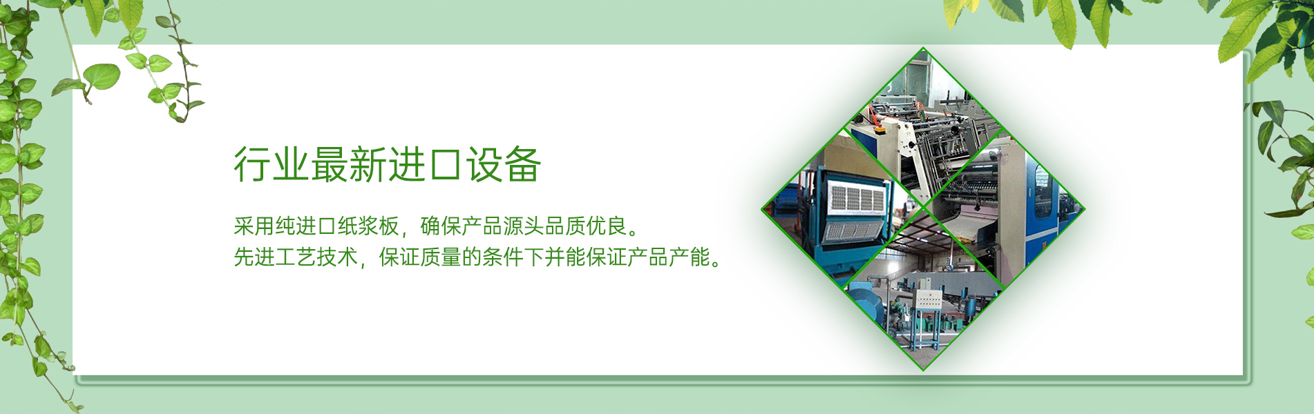 纸浆模塑草莓视频在线看